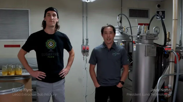 Safeguards All Cannabis Extractors Should Consider