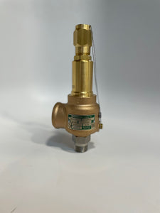 3/4" Pressure Relief Valve - PV-172_2